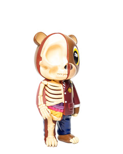 LATE REGISTRATION ANATOMYE BEAR