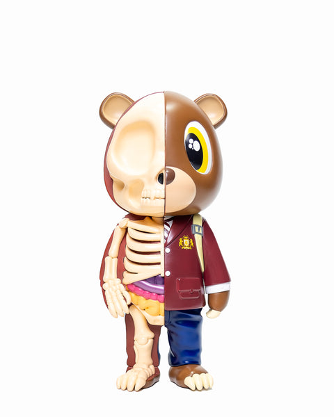 LATE REGISTRATION ANATOMYE BEAR