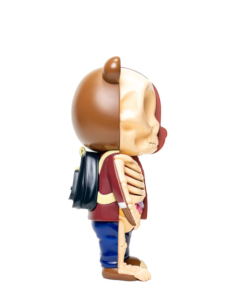 LATE REGISTRATION ANATOMYE BEAR