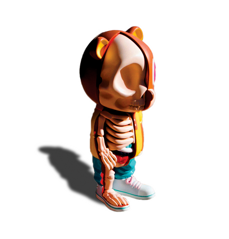 ANATOMYE BEAR - COLLEGE DROPOUT
